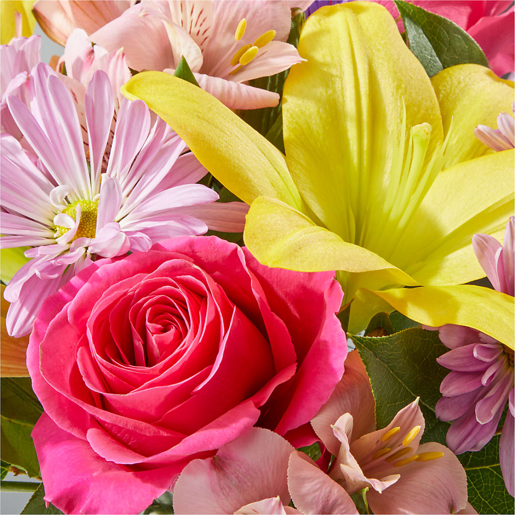 Sprinkles Bouquet –  Flowers By Us, Grand Forks ND