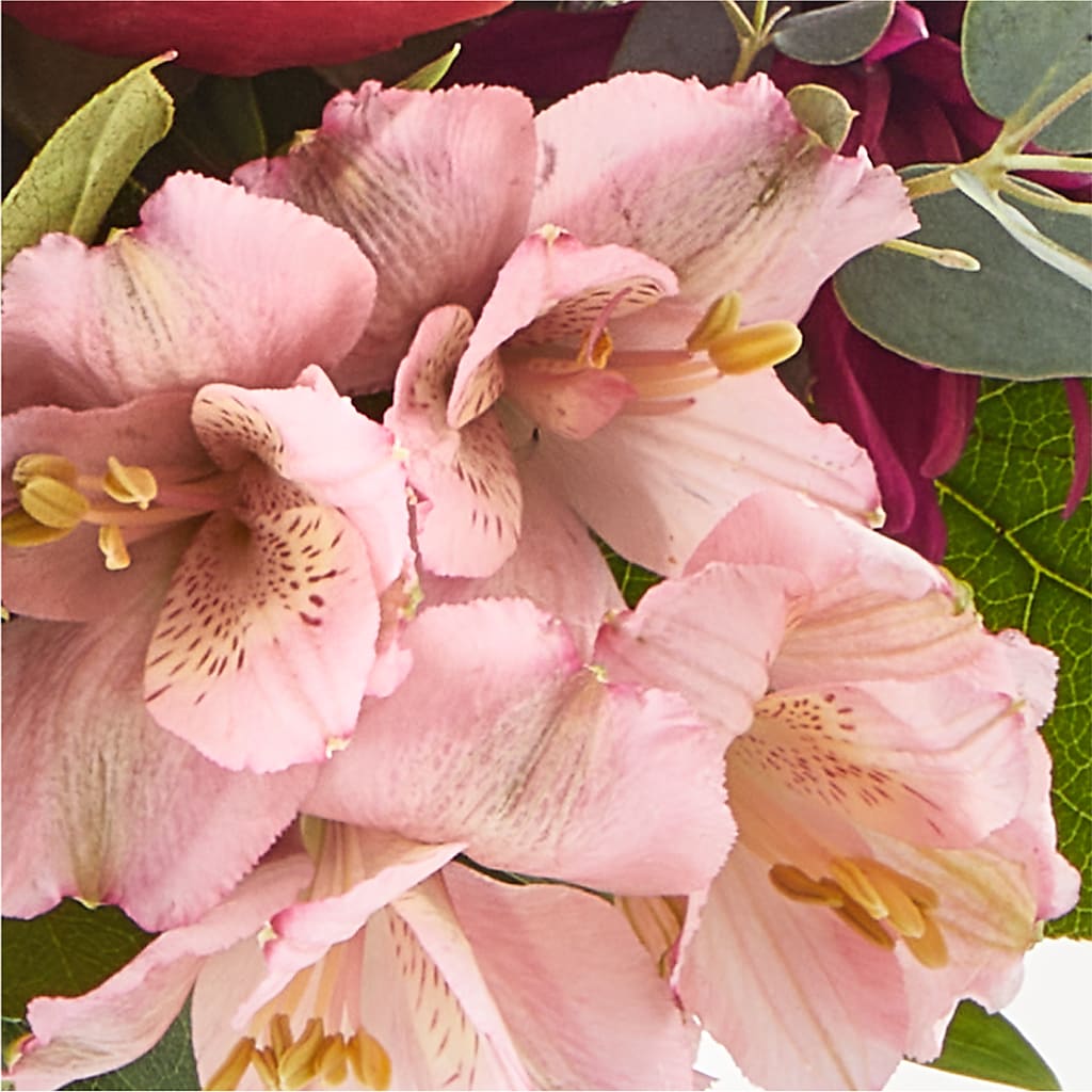 Berry Cobbler Bouquet –  Flowers By Us, Grand Forks ND