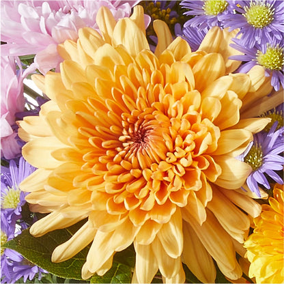 Countryside Bouquet –  Flowers By Us, Grand Forks ND