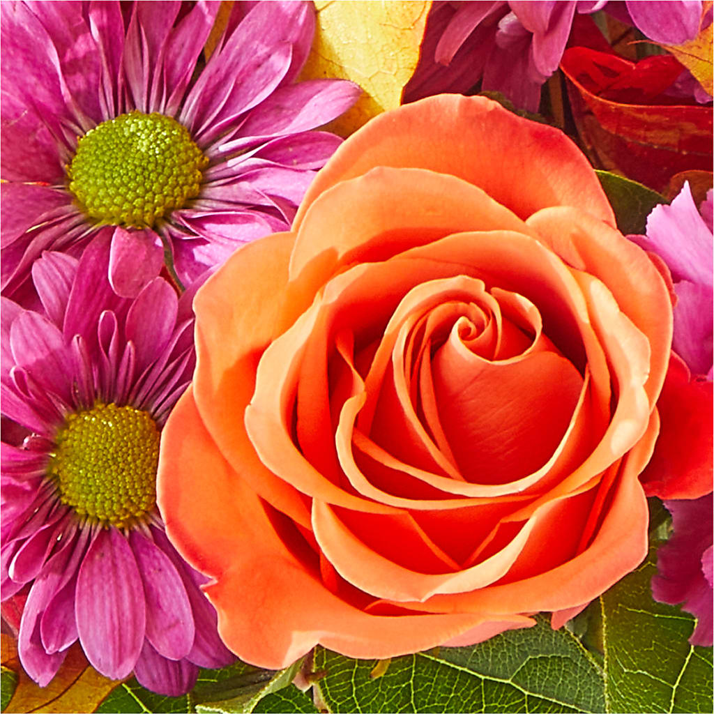 Mum's the Word Bouquet –  Flowers By Us, Grand Forks ND