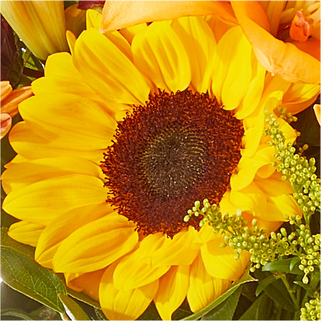 Seasons Change Bouquet –  Flowers By Us, Grand Forks ND