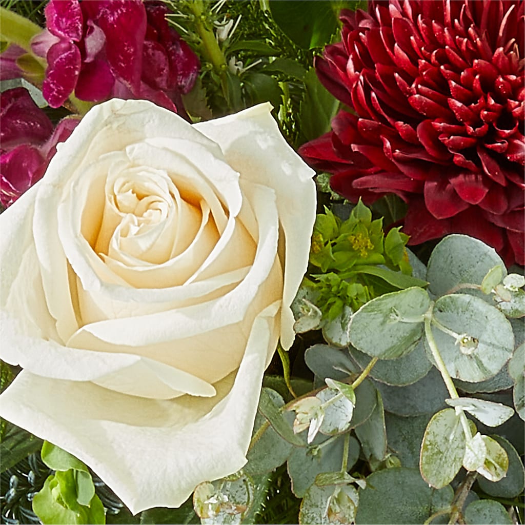 Cranberry Fizz Bouquet –  Flowers By Us, Grand Forks ND
