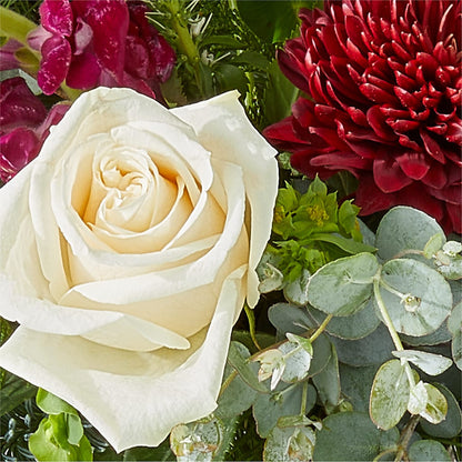 Cranberry Fizz Bouquet –  Flowers By Us, Grand Forks ND