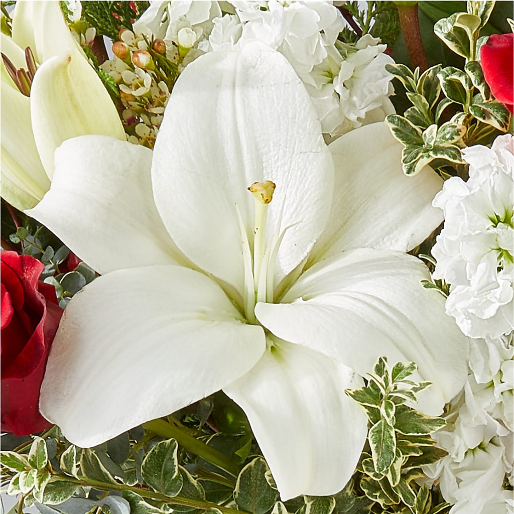 Twinkle Lights Bouquet –  Flowers By Us, Grand Forks ND