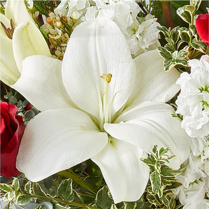 Twinkle Lights Bouquet –  Flowers By Us, Grand Forks ND