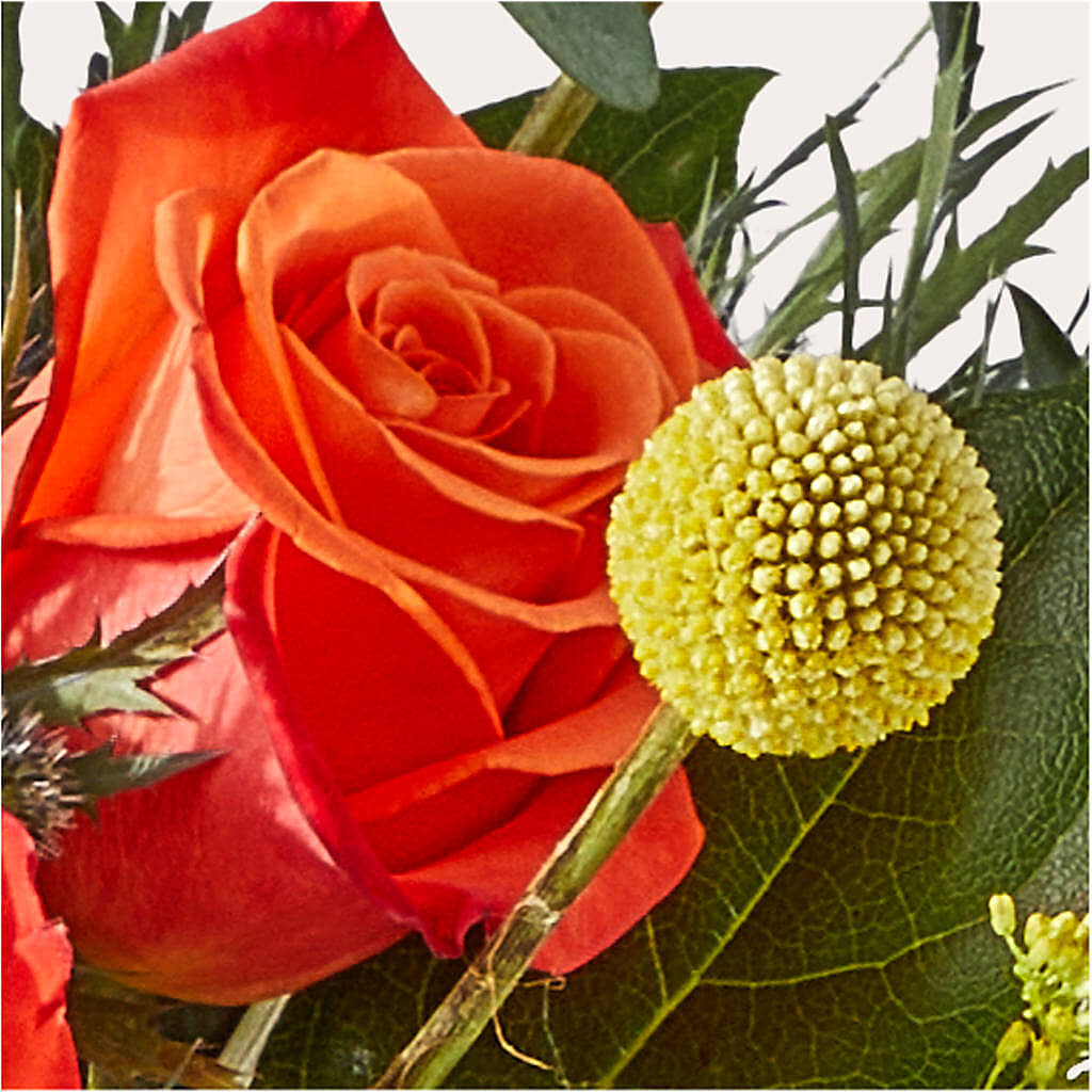 Disco Bouquet –  Flowers By Us, Grand Forks ND