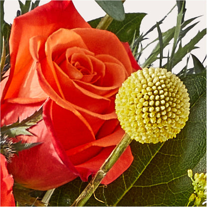 Disco Bouquet –  Flowers By Us, Grand Forks ND