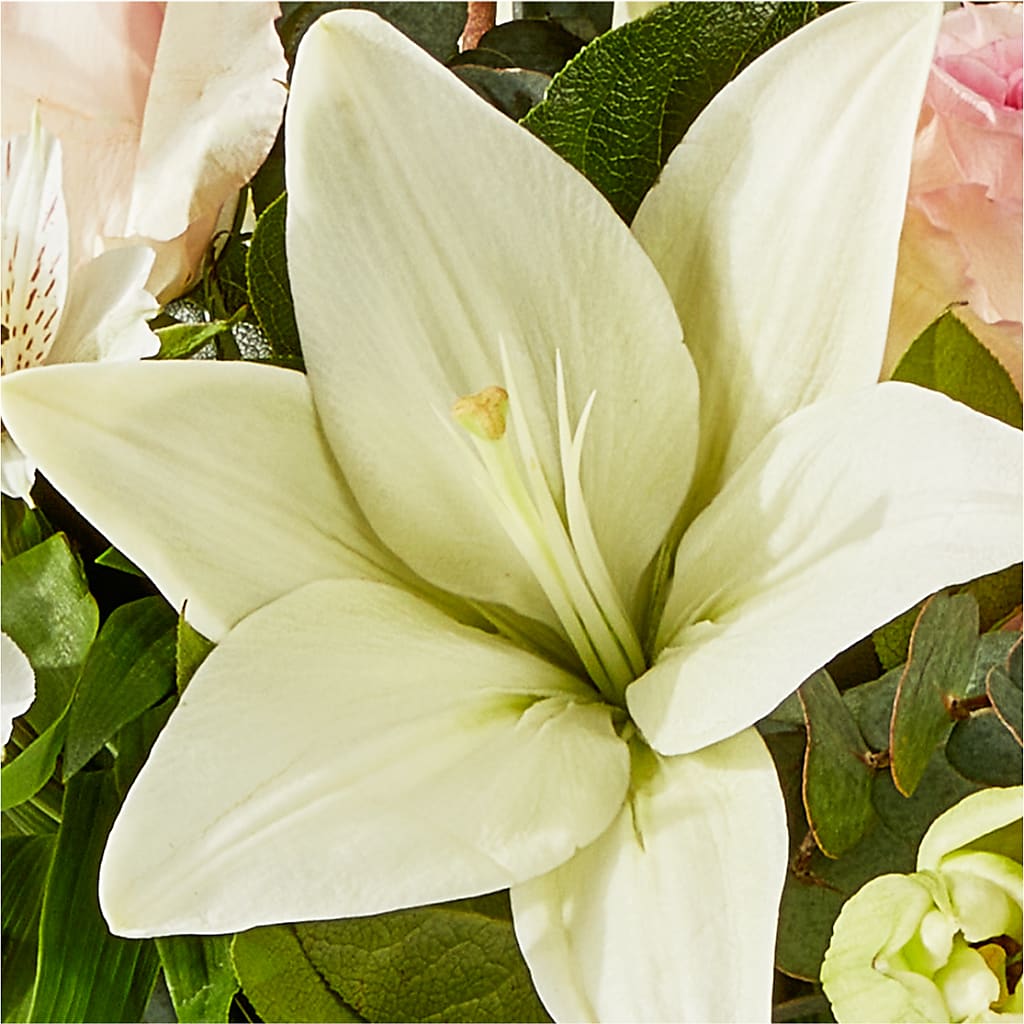 Ballet Slippers Bouquet –  Flowers By Us, Grand Forks ND