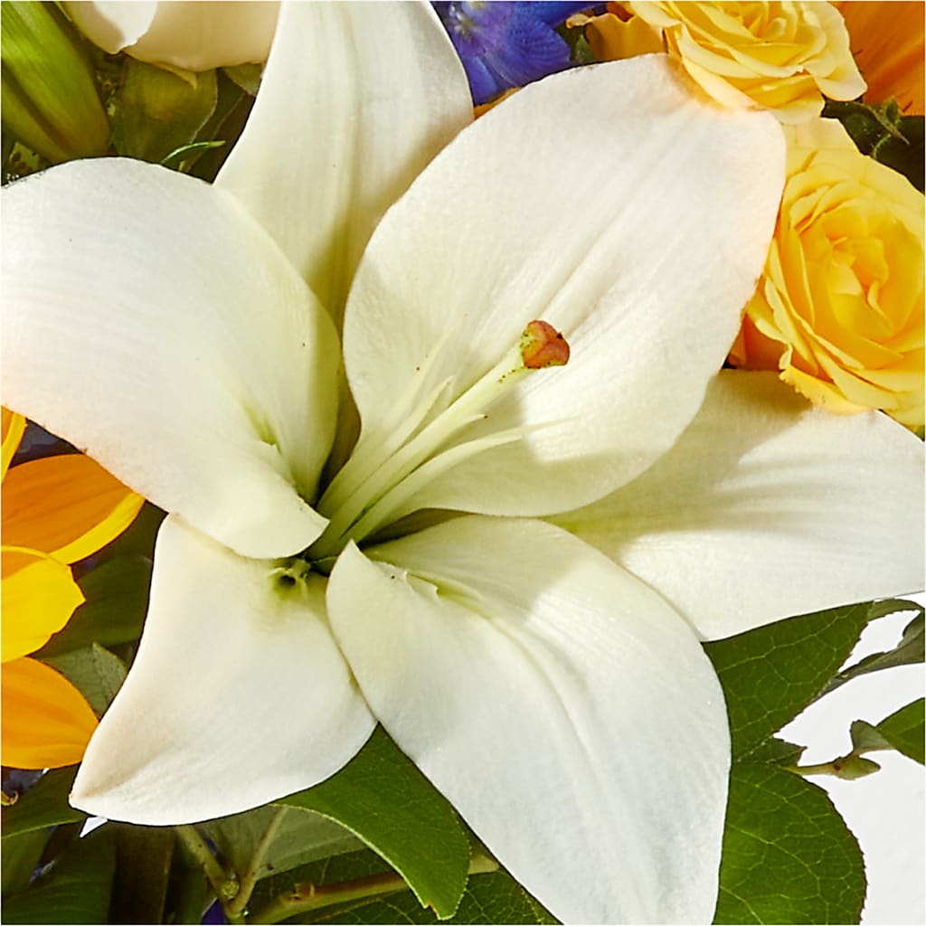 Wonderfully Sunny Bouquet –  Flowers By Us, Grand Forks ND