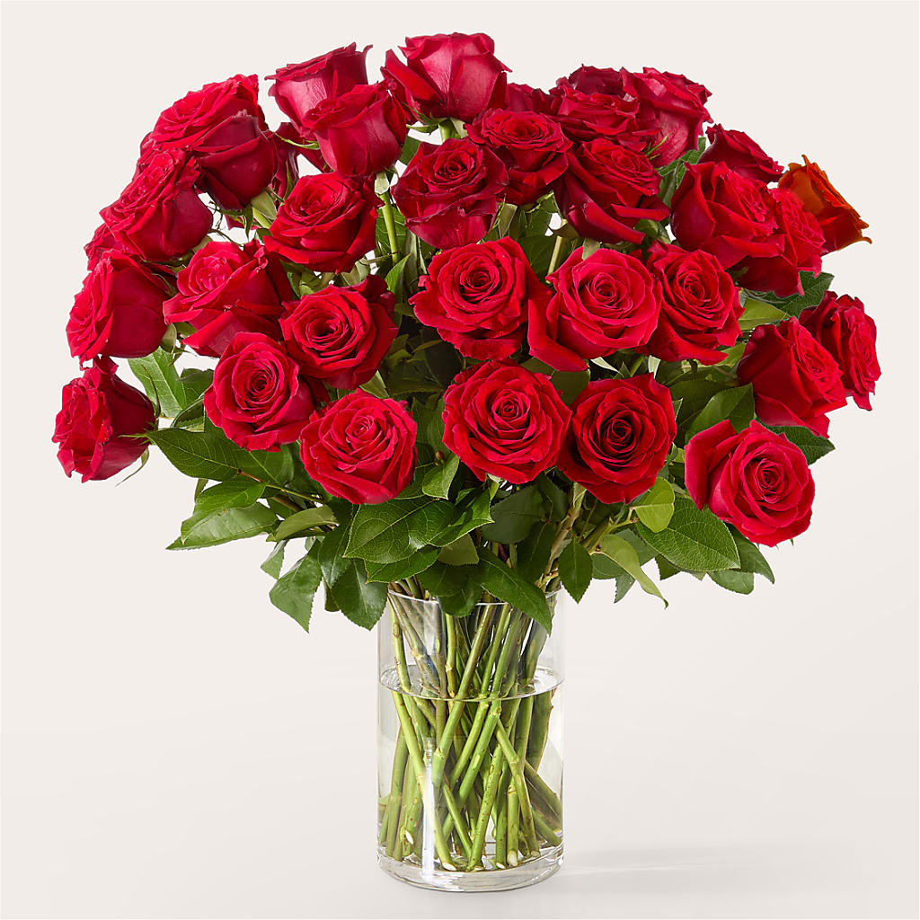 The One Red Rose Bouquet –  Flowers By Us, Grand Forks ND