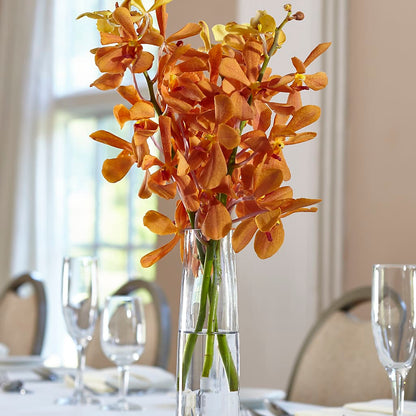 Orange Mokara Bud Vase –  Flowers By Us, Grand Forks ND