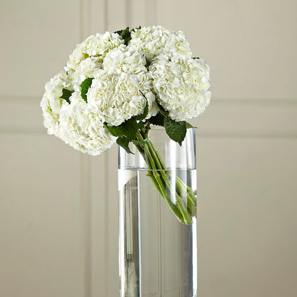White Hydrangea Hand-Tied Bouquet –  Flowers By Us, Grand Forks ND
