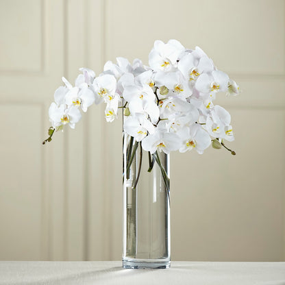 White Phalaenopsis Bouquet –  Flowers By Us, Grand Forks ND