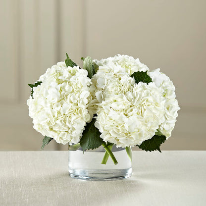 White Hydrangea Bouquet –  Flowers By Us, Grand Forks ND